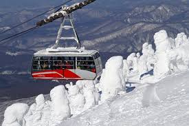 Image result for Hakkoda Walk