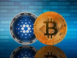 The high for 2019, was just $0.10 making it a stagnant year for cardano. Cardano Vs Bitcoin Which Is The Better Asset To Buy In September 2020