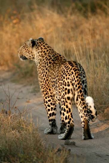 Barda Hills Wildlife Sanctuary