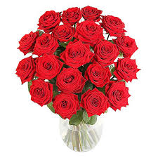 Happy Birthday Roses Pollen Nation Red Roses Rose Gift Happy Birthday Rose