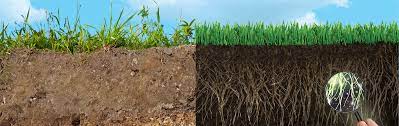 Aerating your lawn allows air, nutrients and rain water to get into the soil promoting healthy deep rooting green grass and helps avoid how to aerate a compacted and waterlogged lawn. Soil Compaction Problems Solutions Jonathan Green