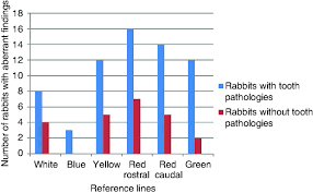 Rabbits have so many predators. Genetic And Environmental Factors Influencing Tooth And Jaw Malformations In Rabbits Korn 2016 Veterinary Record Wiley Online Library