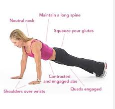 Plank Pose Flashcards Quizlet