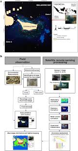 Check spelling or type a new query. Percentage Cover Biomass Distribution And Potential Habitat Mapping Of Natural Macroalgae Based On High Resolution Satellite Data And In Situ Monitoring At Libukang Island Malasoro Bay Indonesia Springerlink