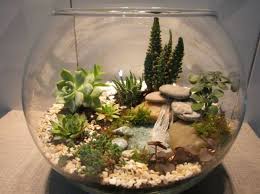 Epingle Sur Vivarium