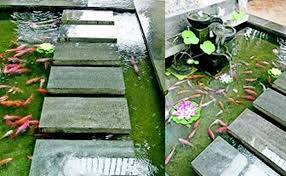 Terbukti membangun kolam ikan koi dengan biaya murahhhhh. Mengapa Air Pancuran Dan Kolam Tak Boleh Terlalu Deras Ini Alasannya Semua Halaman Idea