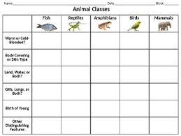 Classes Of Animals Informational Chart