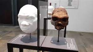 Dinamarca es tierra de vikingos. Videos Del Museo De Los Vikingos En Dinamarca Youtube