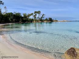 From wikipedia, the free encyclopedia. Epingle Sur F Corse Corsica