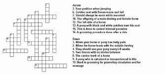 Horse Crossword Older Girls Horse Camp Female Horse Horses