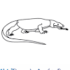 The komodo dragon is the largest living reptile in the world. 1