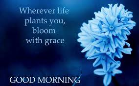 Inspirational messages and wishes to send to someone on monday and make their week 4. Good Morning Flower Quotes
