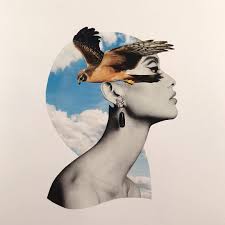 Adam Hale On Instagram 1227 Bird Of Prey With Images Vintage Collage Art Portrait Art Art Photography