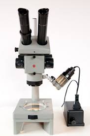 Als das mikroskop um 1590 erfunden wurde, sahen wir plötzlich eine neue welt der lebewesen in unserem wasser, in unserer nahrung und unter unserer nase. Stereomikroskop Anwendung Gesundheitlicher Nutzen Medlexi De