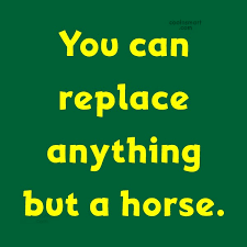 However, the syntax for the function uses quotes, so the. Quote You Can Replace Anything But A Horse Coolnsmart