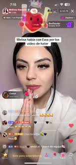 Melissa Vee Drama Explained