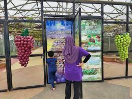 Plan to visit ladang nipah kipli, malaysia. 6 1 2021 Ladang Anggur Family De Galeria Facebook