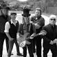 The Wildflowers - Tom Petty Tribute