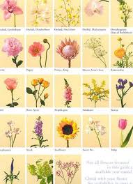 Check spelling or type a new query. 38 Irish Flowers Ideas Flowers Irish Flower Beautiful Flowers