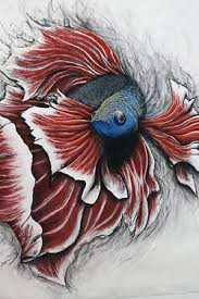 Betta Fish Drawing Google Search Animal Mural Fish Drawings Fish Art