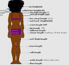 It is a style that simply doesn't get old. The Hair Length Chart Naturalbella