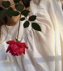 White And Red Aesthetic Images On Favim Com White and red rose illustration poster aesthetics valentines day>. white and red aesthetic images on favim com