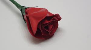 They grow wild throughout the american southwest, down to south america and up to canada. Realistic Duct Tape Rose 7 Steps With Pictures Instructables