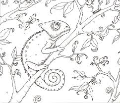 Dibujos Chulos Para Colorear