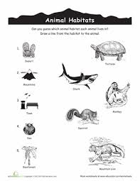 Animal Habitats Match Up Animal Habitats Habitats Zoo Activities