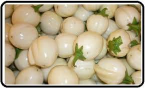 Image result for Solanum macrocarpon