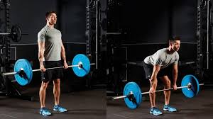 These male standards were last updated june and are based on 49,000 filtered lifts. How To Master The Romanian Deadlift Coach Exercise Guides
