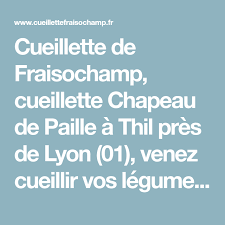Cueillette De Fraisochamp Cueillette Chapeau De Paille A Thil Pres De Lyon 01 Venez Cueillir Vos Legumes Fruit Et Fleu Cueillette Chapeau De Paille Le Pre