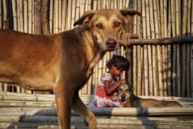 Rabies is considered to be a core vaccine for dogs and should be administered every 1 to 3 years. Why Are So Many People Still Dying Of Rabies World Economic Forum