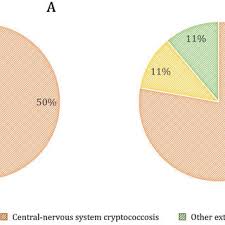 Image result for Hugonia platysepala