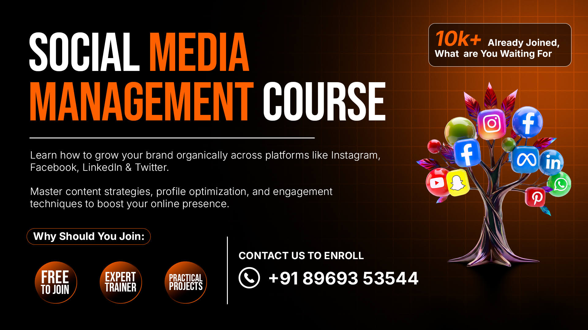 Free Social Media Management Course product image