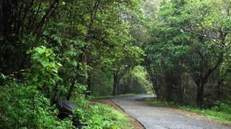 Mumbai: Sanjay Gandhi National Park set to lose another eight hectares | Mumbai News - The Indian Express