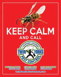Orkin pest control is a business that provides pest control management services. Calameo Dan S Papers September 20 2019 Issue 1
