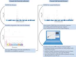 Check out our mr and mrs pillows selection for the very best in unique or custom, handmade pieces from our decorative pillows shops. Integrating Genomics With Biomarkers And Therapeutic Targets To Invigorate Cardiovascular Drug Development Nature Reviews Cardiology