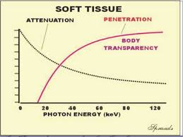 X Ray Image Formation And Contrast