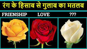 Get meaning and translation of flower in hindi language with grammar,antonyms,synonyms and sentence usages. Different Roses Colour Meaning In Hindi Rose Ka Matlab Happy Rose Day Rose Day Special Video Youtube