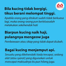 Namun, seperti apa kita mencegah sesuatu, adakalah sebuah penyakit tetap datang sebagai penyebab lingkungan ataupun daya tahan tubuh kucing itu sendiri. 12 Koleksi Peribahasa Berkaitan Dd Bangi Petshop Facebook