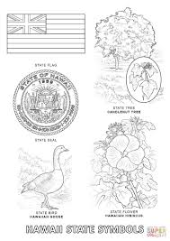 Why don't you color them nicely and make them more Hawaii State Symbols Coloring Page Free Printable Coloring Pages Coloring Library