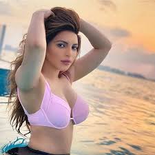 Image result for shama sikander