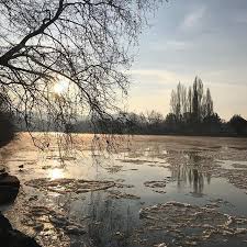 il fait legerement froid a vichy comme partout dans la region les canards slalomaient entre les plaques de glace ce matin sur lallier a instagram water river