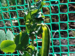 4.6 out of 5 stars. Plant Support Mesh Plant Support Netting Pp Uv Stabilized Any Color