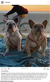 When it comes to loving your dog, john mulaney is one of the best. Lady Gaga Is Emotional And Grateful Over Safe Return Of Her Dogs And Her Dog Walker S Recovery Daily Mail Online