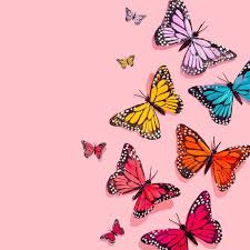A collection of the top 47 aesthetic butterfly wallpapers and backgrounds available for please contact us if you want to publish an aesthetic butterfly wallpaper on our site. Aesthetic Butterfly Pictures Wallpapers Wallpaper Cave