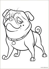 Those who are not indifferent to the fate of the squirrel and her friend buddy the rat. Raskraski Realnaya Belka The Nut Job Coloring Pages