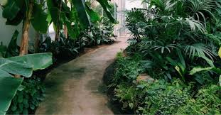 Learn how to create an urban garden in any indoor or outdoor space with these simple tips and diy ideas! 9 Low Maintenance Tips For A Small Garden