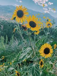 Beach christmas decorations picsart apk for windows. Mixed Media Edit Digital Art Doodle Art Edit Photo Art Instagram Photography Instagram Theme